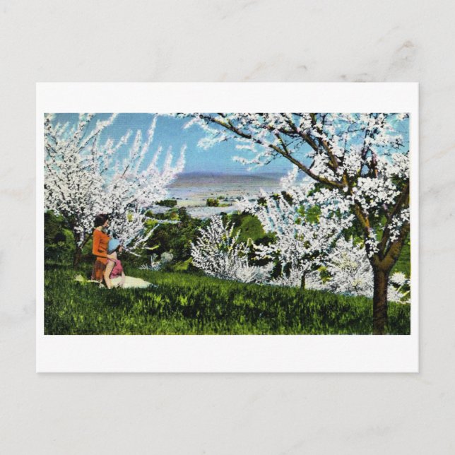 Vintage Santa Clara Valley Postcard (Front)