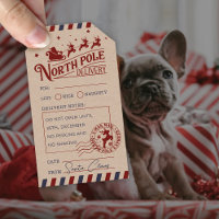 Vintage Santa Claus North Pole Special Delivery