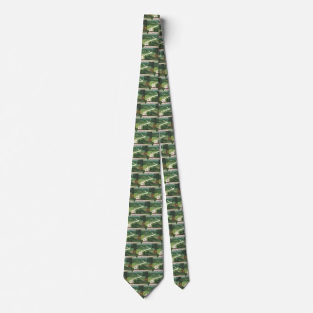Vintage Scenic American Highways, Cars Road Trip Tie (Front)