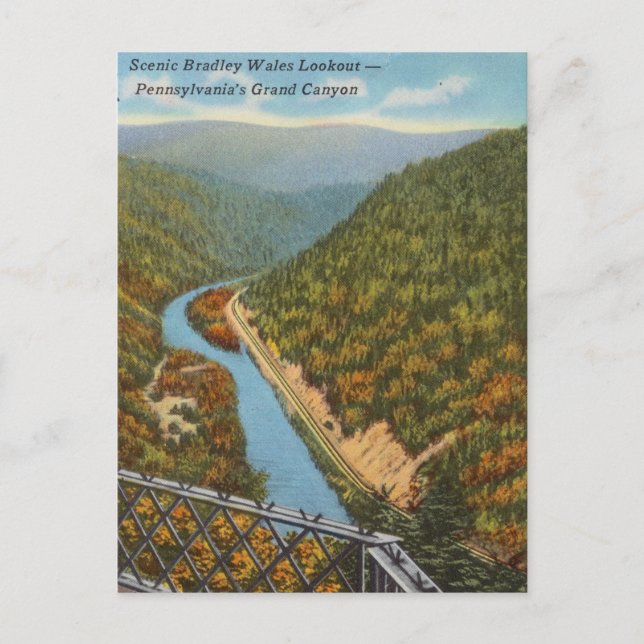 Vintage Scenic Pennsylvania's Grand Canyon Postcard (Front)