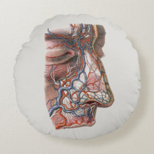 Vintage Science Human Anatomy, Face with Nose Round Pillow