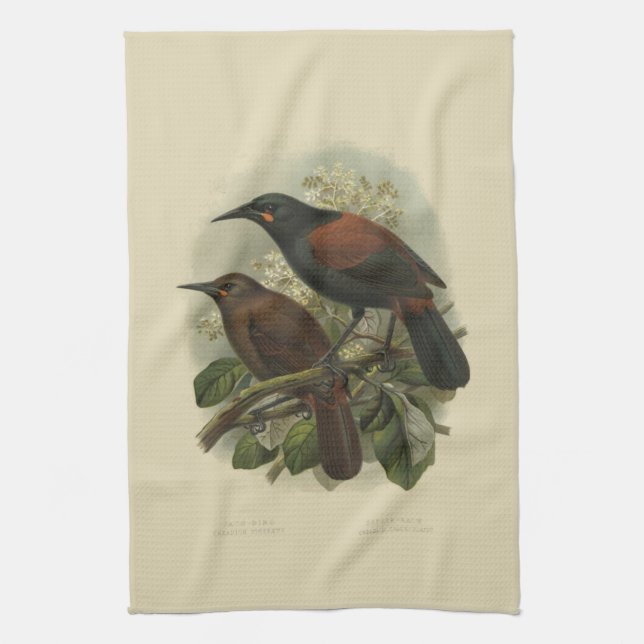 Vintage Science NZ Birds - Saddleback Tea Towel (Vertical)