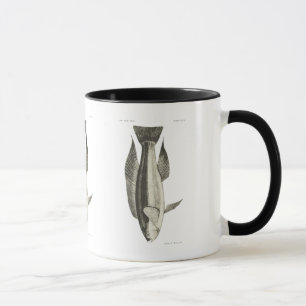 Vintage Science NZ Fish - Greenbone Mug