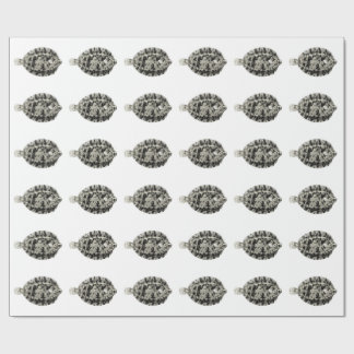 Vintage Science NZ Fish - Lemon Sole Wrapping Paper