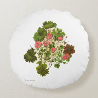 Vintage Science  NZ Flowers - Geranium traversii Round Pillow