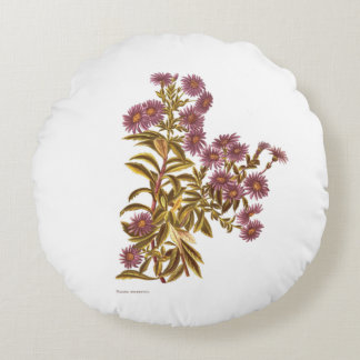 Vintage Science NZ Flowers - Olearia semidentata Round Pillow
