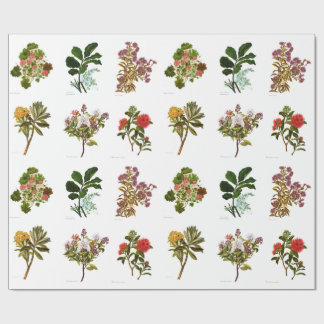 Vintage Science NZ Flowers Wrapping Paper