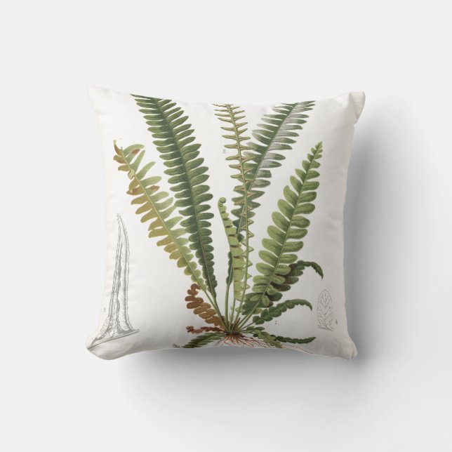 Vintage Scientific Plant Fern Illustration Throw Pillow (Front)
