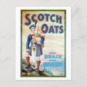 Vintage Scotch Oats "For Brain and Brawn" Postcard