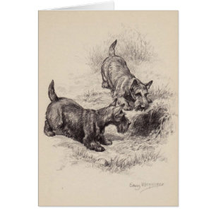 Vintage - Scottish Terriers & a Rabbit Hole,