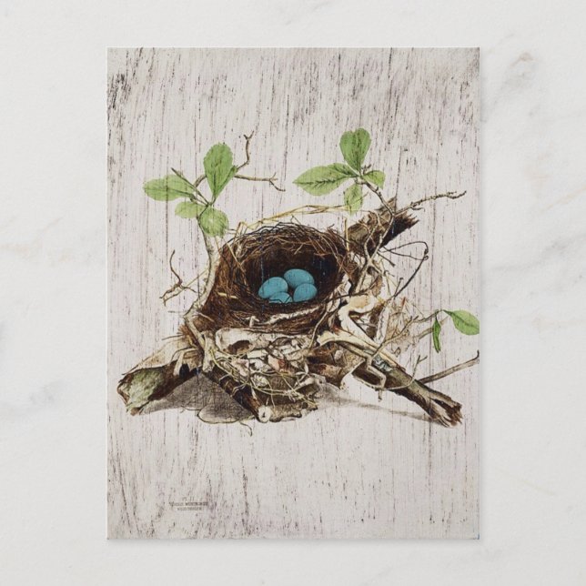 vintage script ephemera bird nest french botanical postcard (Front)