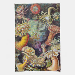 Vintage Sea Anemones, Actiniae by Ernst Haeckel Kitchen Towel