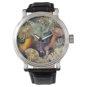 Vintage Sea Anemones, Actiniae by Ernst Haeckel Watch