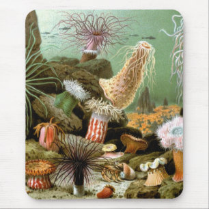 Vintage Sea Anemones, Marine Life Ocean Animals Mouse Pad