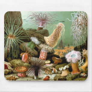 Vintage Sea Anemones, Marine Life Ocean Animals Mouse Pad