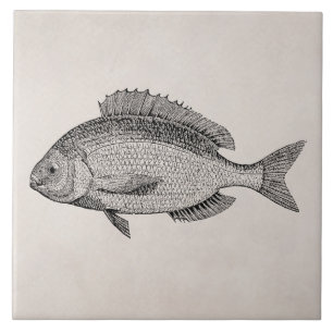 Vintage Sea Bream Fish Retro Fishes Template Tile