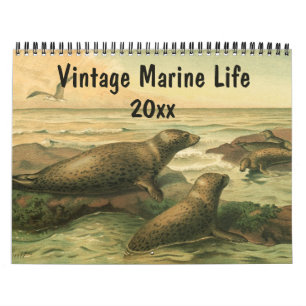 Vintage Sea Creatures and Ocean Marine Life Animal Calendar