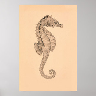 Vintage Sea Horse Diptych I Poster