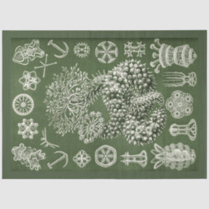 Vintage Sea Life Decoupage Tissue Paper