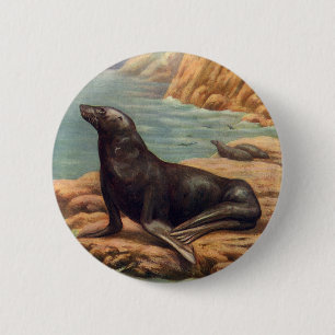 Vintage Sea Lion by the Seashore, Marine Mammals 2 Inch Round Button