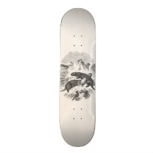 Vintage Sea Otters 1800s Otter Illustration Skateboard