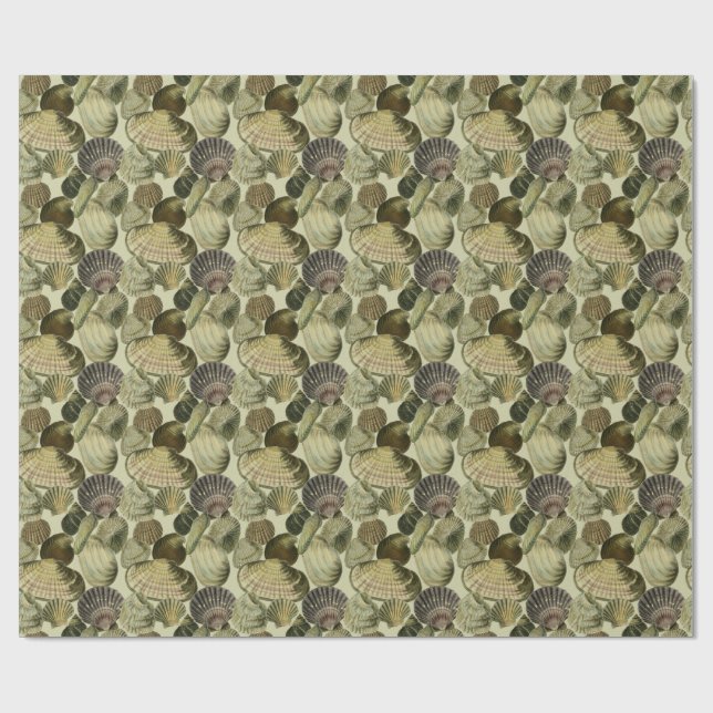 vintage sea shell art wrapping paper (Flat)
