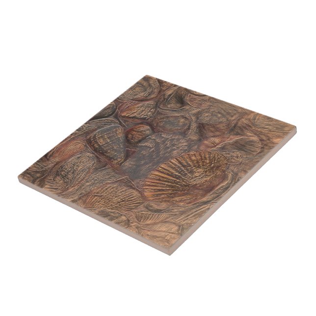 Vintage Sea Shells Ocean Beach Brown Nautical Tile (Side)