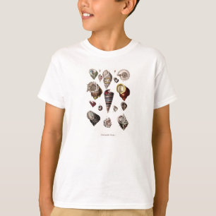 Vintage Sea Shells Personalized Retro Auger Shell T-Shirt