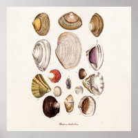 Vintage Sea Shells Personalized Retro Clam Shell
