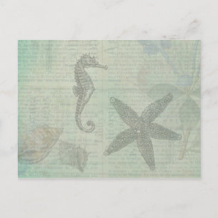 Vintage Sea Shells, Starfish, and Sea Horse Postcard