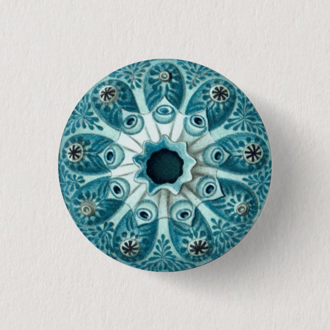 Vintage Sea Squirt Illustration 1 Inch Round Button (Front)