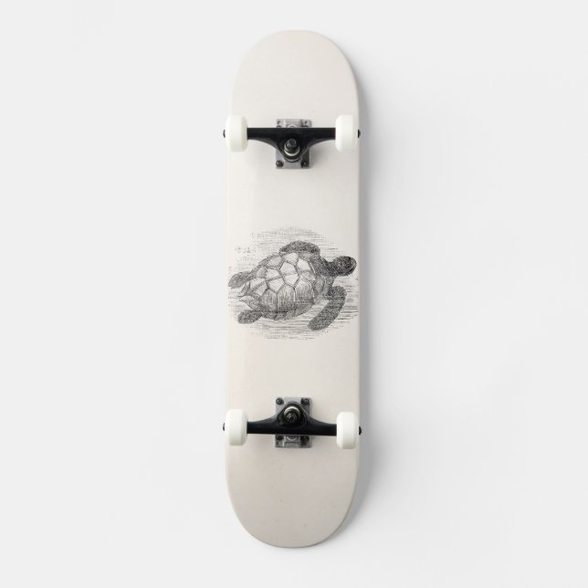 Vintage Sea Turtle Personalized Marine Turtles Skateboard (Front)