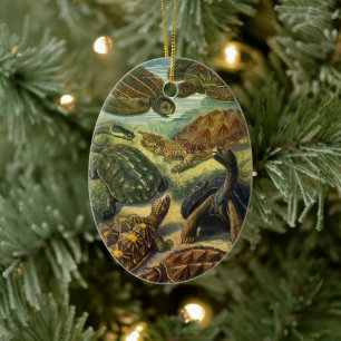 Vintage Sea Turtles and Tortoises by Ernst Haeckel Ceramic Ornament