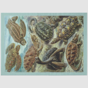 Vintage Sea Turtles and Tortoises Decoupage  Tissue Paper