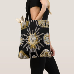 Vintage Sea Urchins Sand Dollars by Ernst Haeckel Tote Bag