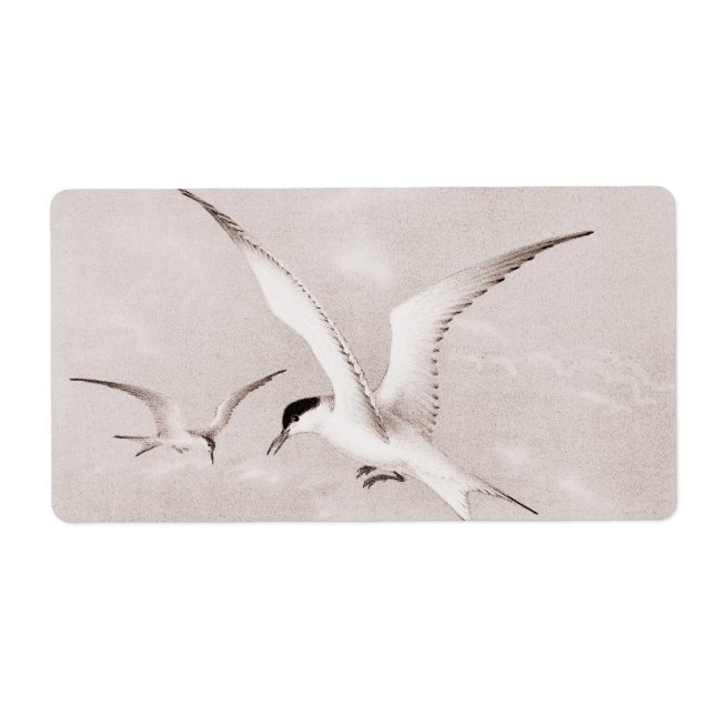 Vintage Seagulls Customized Retro Seagull Template (Front)