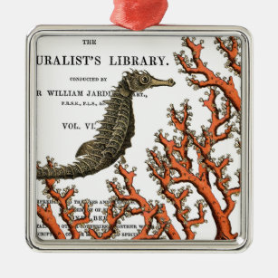 Vintage Seahorse and Coral Botanical Illustration Metal Ornament