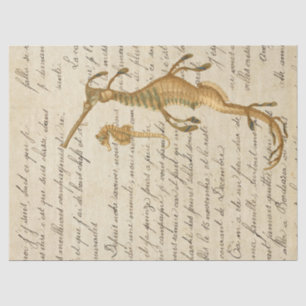 Vintage Seahorse and Script Decoupage Tissue Paper