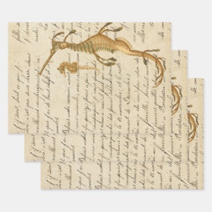 Vintage Seahorse and Script Wrapping Paper Sheet