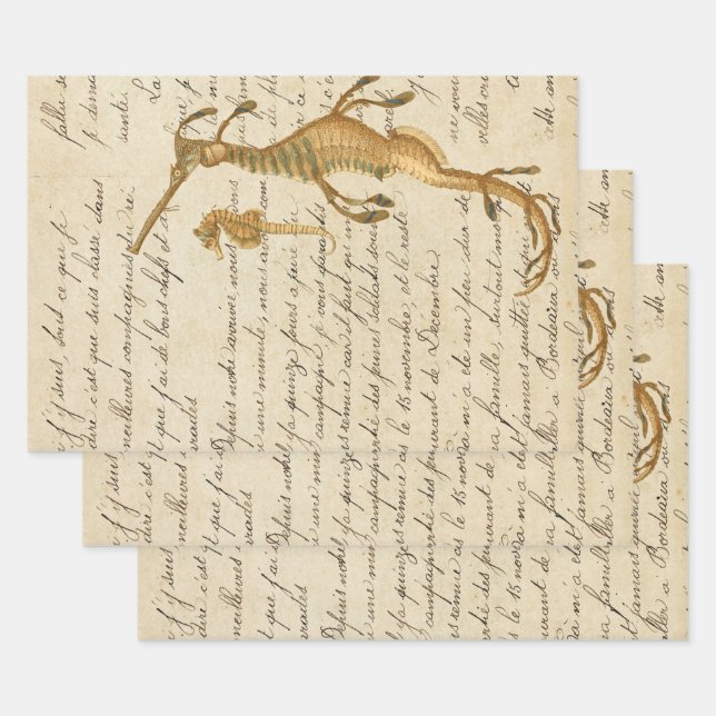 Vintage Seahorse and Script Wrapping Paper Sheet (Set)