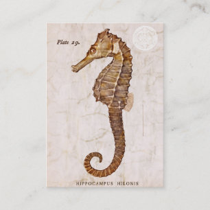 Vintage Seahorse - Antique Seahorses Customized Business Card