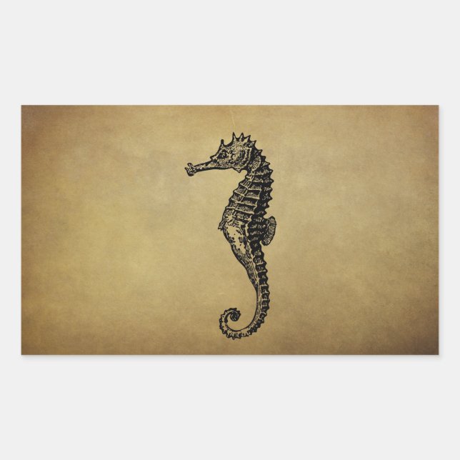 Vintage Seahorse Illustration Sticker (Front)