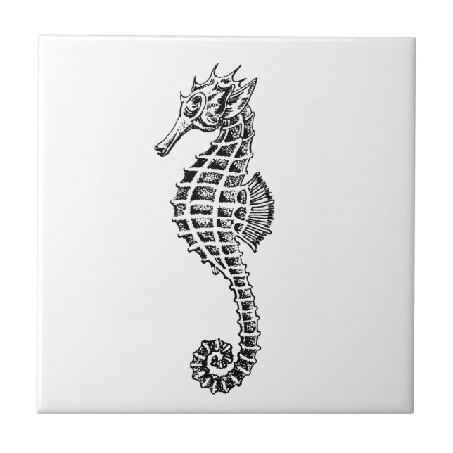 Vintage Seahorse Sea Ocean Animal Tile (Front)