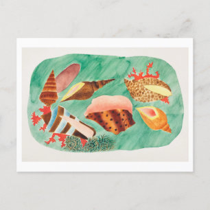 Vintage Seashell Illustration Postcard