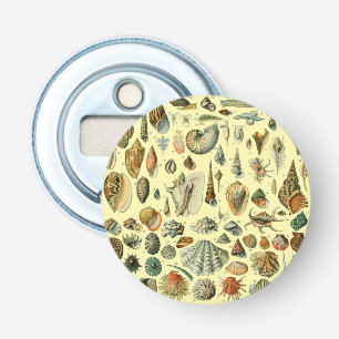 Vintage Seashell Print Adolphe Millot Coastal Bottle Opener