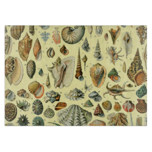 Vintage Seashell Print Adolphe Millot Coastal  Cutting Board