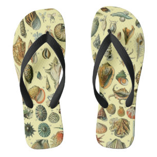 Vintage Seashell Print Adolphe Millot Coastal Flip Flops