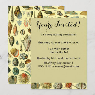 Vintage Seashell Print Adolphe Millot Coastal Invitation