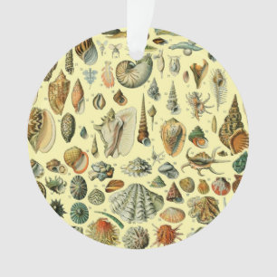 Vintage Seashell Print Adolphe Millot Coastal  Ornament