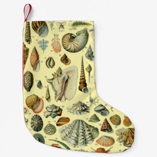 Vintage Seashell Print Adolphe Millot Coastal Small Christmas Stocking